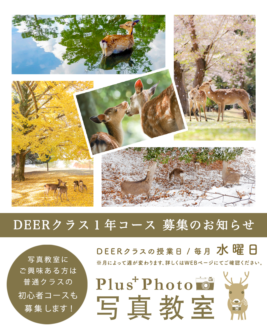 2025年度 DEER 1年目クラス 特別コース募集のお知らせ