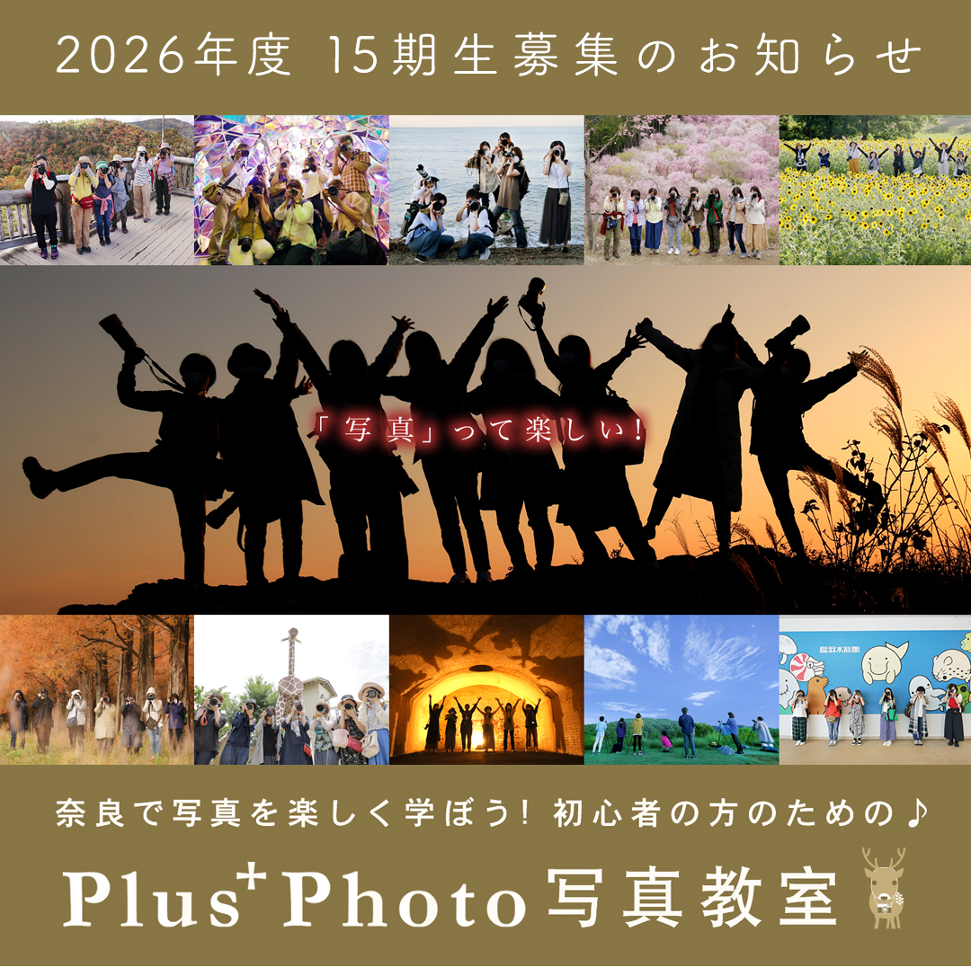 Plus+Photo 写真教室 2 0 2 6 年 4 月 から スタートするコース募集のお知らせです📷✨