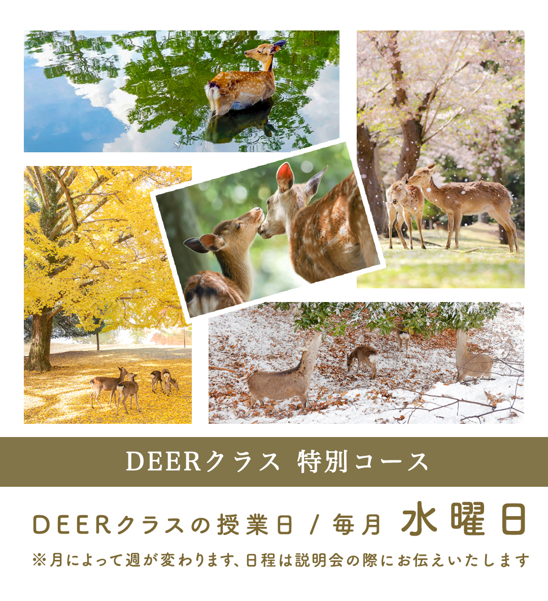 DEERクラス（※2026年度の募集は行いません）